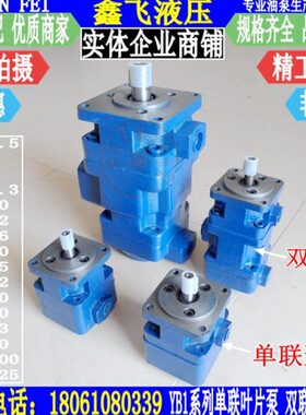 定量叶片泵YB1-10/6/4/6.3/12/16/25/32/40/50/63/80/100油泵单联