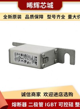 170M1412 170M1415 电子元器件 库存充足 型号齐全快速熔断器