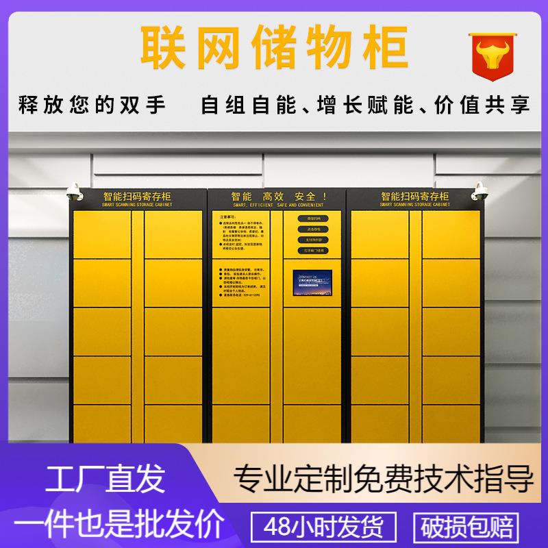 车站行李寄存柜景区酒店机场柜现代简约智能微信联网收费存包柜