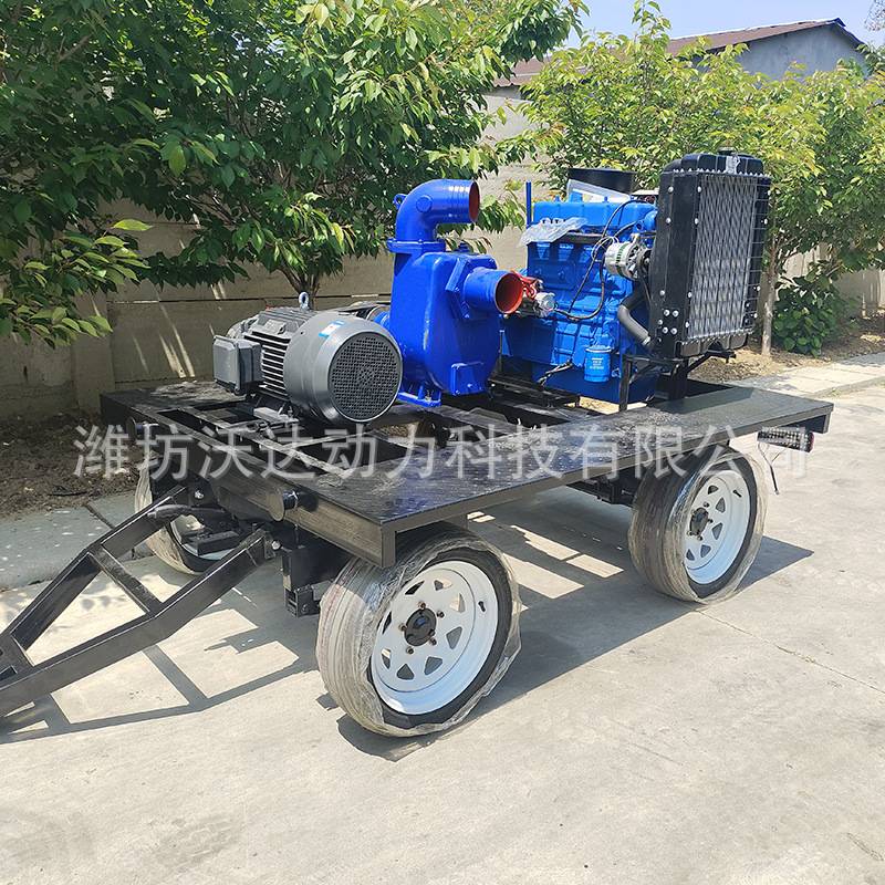 电机发动机双动力水泵自吸泵机组柴油机清水抽水泵工业管道排水泵