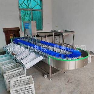 大连海参自动称重分级机器 鲍鱼重量分拣机 多功能重量分拣机