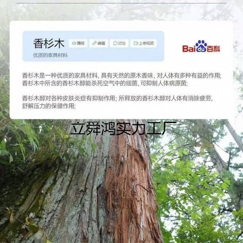 实木折叠床板排骨架加厚条床板静音防潮透气护腰杉木板厂家直销