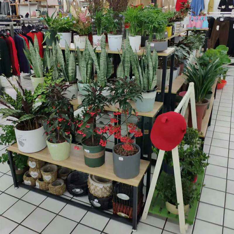 花架阳台置物架铁艺阶梯室内落地花盆架鲜花店摆花展示架货架