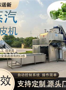 苹果蒸汽去皮机出成率高快速去皮操作简单红枣脱皮机诺新