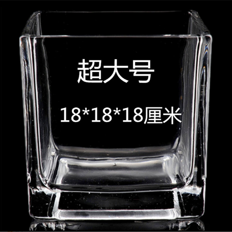 水培植物玻璃四方方缸花瓶水养白掌客厅摆件台面透明Y水晶玻璃花