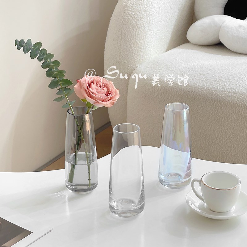 小花瓶透明高级感摆件客r厅水养插鲜花玻璃简约餐桌面法式网红迷