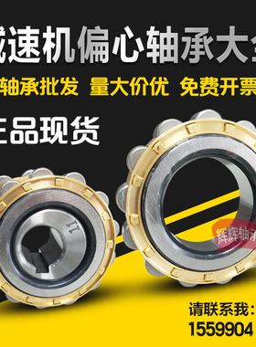 减速机整体偏心轴承 50752904 350752904 400752904 200752306 K