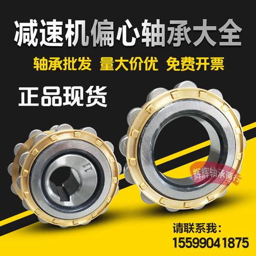 减速机整体偏心轴承 50752904 350752904 400752904 200752306 K