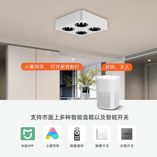 米家智能斗胆灯客厅无主灯明装筒射灯超薄防眩涂鸦zigbee明装智能