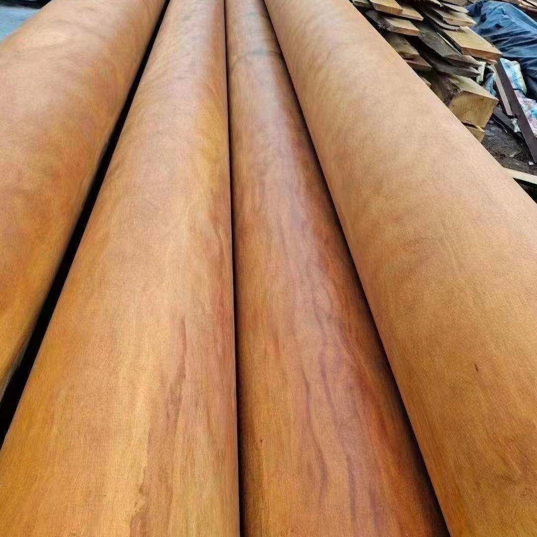 巴新大风子T19RC原木工家具菜板腐程建程筑工防木木材大风子木料