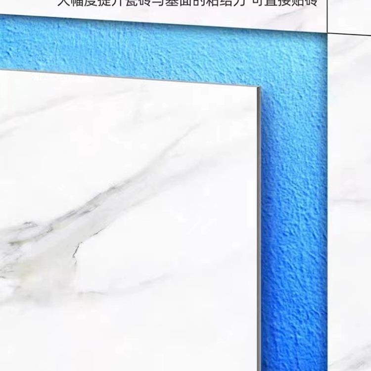 水涂料卫防间11生内墙面砂浆渗室透剂补漏KOL厨房鱼池厕所泳池