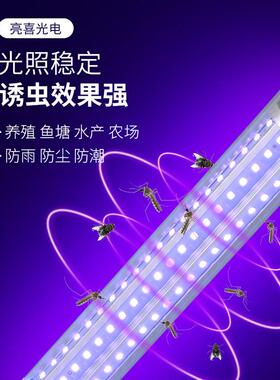 防水紫光米LED玉灯E2灯7螺口虫长条灯户外灯lY-827D笼灯泡285珠诱