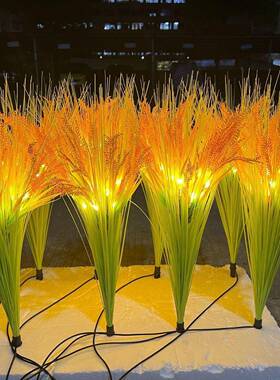 地灯插光丝水稻灯景观接电款工铜程亮化新款发装饰水稻灯庭院IVD