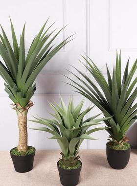 大型仿真龙血树铁树植户外设绿盆栽客摆厅仿QH-52064植真树物摆件