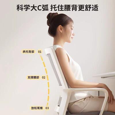 LWR电脑椅子家用宿办公舒适久坐护腰靠椅体背工学舒服舍人学习座