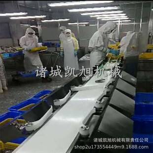 白条鸡白条鸭自动重量检测分拣机 鸡腿鸭腿称重分级分选机 凯旭