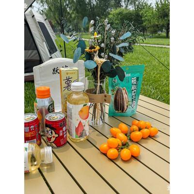 一四椅小户外折叠桌桌椅组合便式露营AL100110套装酒馆板凳携天幕