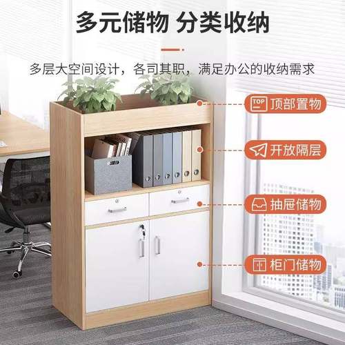 文件柜资料带锁收纳柜柜隔QLH储断矮柜木质物办架公室花槽柜置物