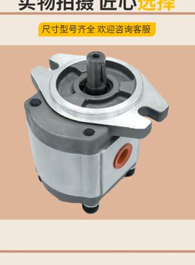 台湾钰盟2GG1P05R/7/8/9/11/14/16/18/20/22/24/26/28/30/33R油泵