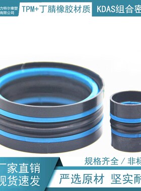 KDAS组合密封件 pDAS密封圈 145*120*38.1圆形