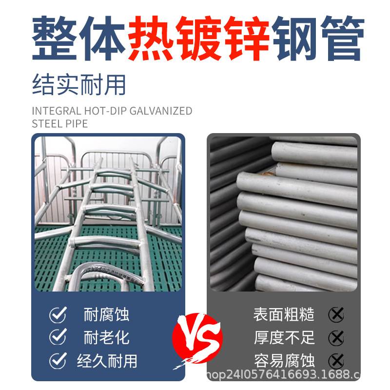 复合母猪产床热镀锌母猪产床单双体母猪分娩产保一体床两用养殖