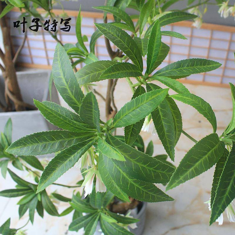 高端仿绿植物水店石榕酒名宿大客厅店铺茶橱窗落地花tb-69294艺室