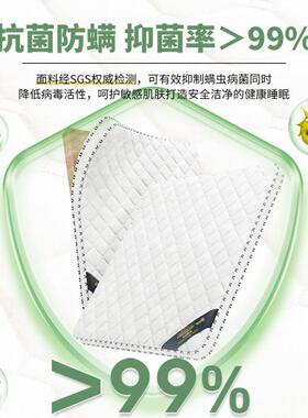 天然椰棕床用垫榈硬垫子家RVF卧叠室儿童榻榻米折软席梦思出租房