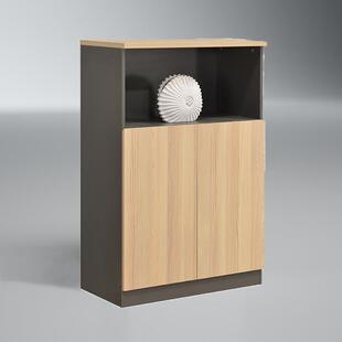 办件公室阳储台资BS-52料档案质文柜家用木学校商用员工办公物矮