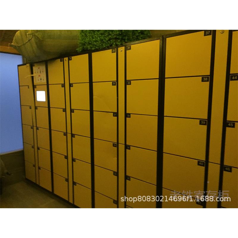 达州柜智能自密码寄存柜/存包/储物325柜/旅游游包客裹编暂存柜子