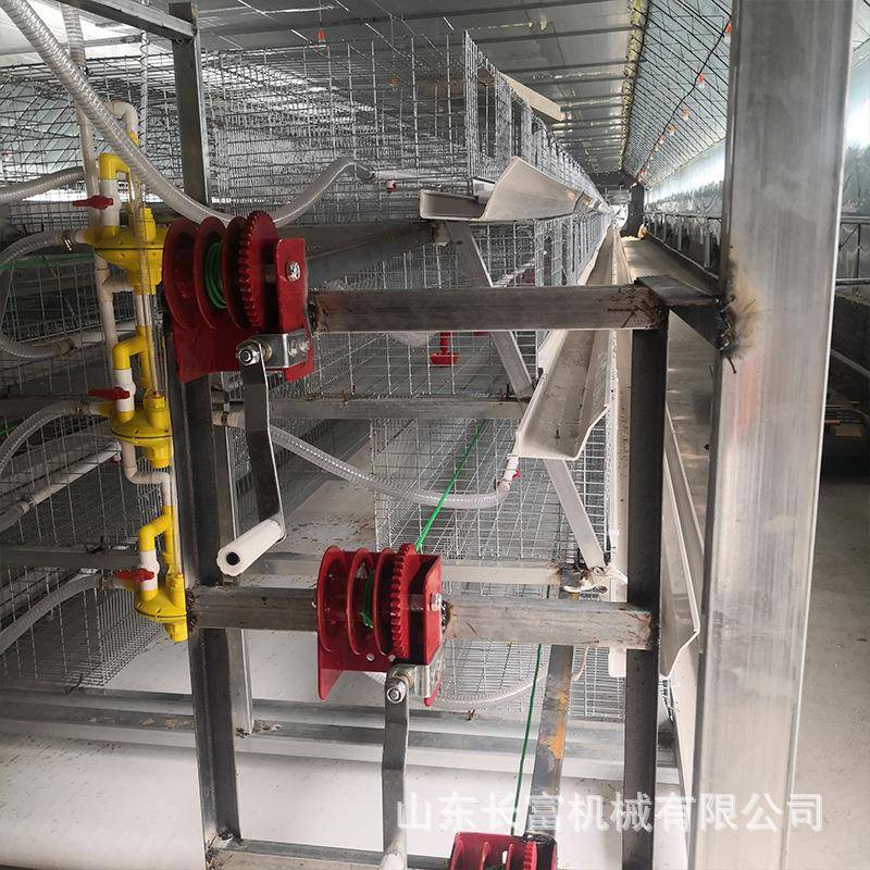 鸡鹑笼蛋鸡笼叠式养层鸡设备立式鸽自动四层清EVN粪子笼鹌养殖育