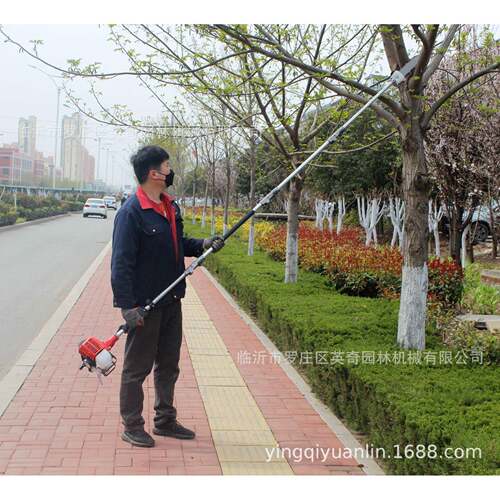 厂销出口 3米4节杆 枝锯割草机空树枝修剪机园林剪树枝工具