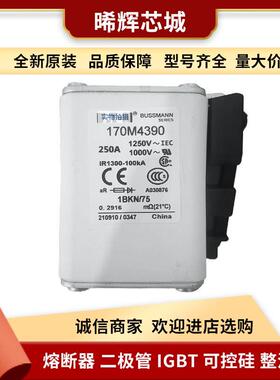 170M5812D 170M5815D 库存充足现货户外跌落式熔断器 电子元器件