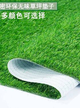 超市真草坪仿地毯人工假草塑绿色阳台铺垫装饰果水架人料造EXP草