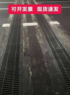 横截型式沟盖板插入雨式井盖球墨铸铁水篦子4D03590重道路桥梁隧