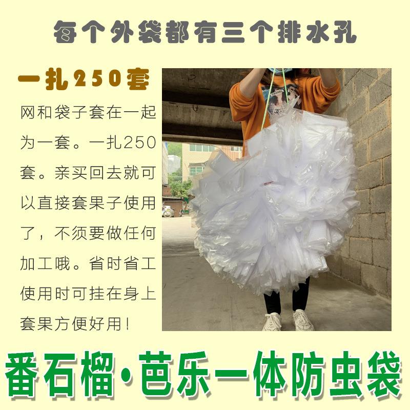 包番MXV石榴防虫袋子水果套芭乐袋果蝇袋防防鸟直筒网胶袋一袋其