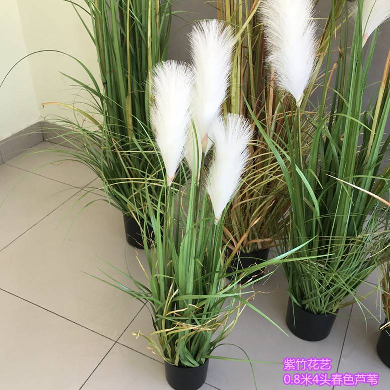 盆栽干花芦苇五谷杂粮道具单只/束田园植物装饰落地绿植物跨境