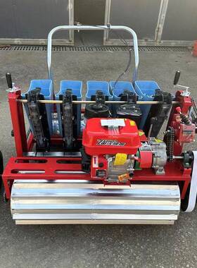 跨境汽油蒜苗大蒜播种机五行距大蒜植种机株KJQ距行种可调蒜机