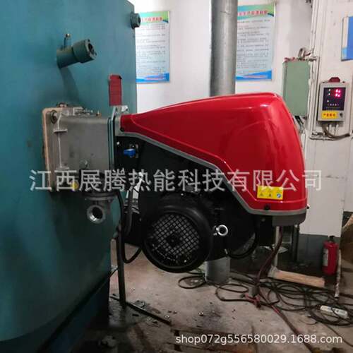 利雅路FGR火焰燃烧机RS310/410/510/EFGRRS610/EFGR道森环保节能