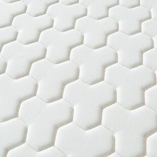 FTN工直供乳胶床垫卧室榻厂房榻米酒店租睡单人学生加厚垫子褥子