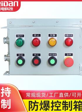 厂家非标防腐防粉尘防爆控制箱IIC tD