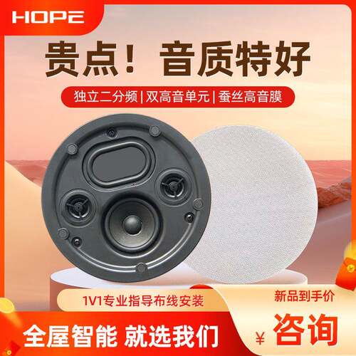 向往HS600背景音乐吸顶音响音箱吸顶防水喇叭超薄带箱体