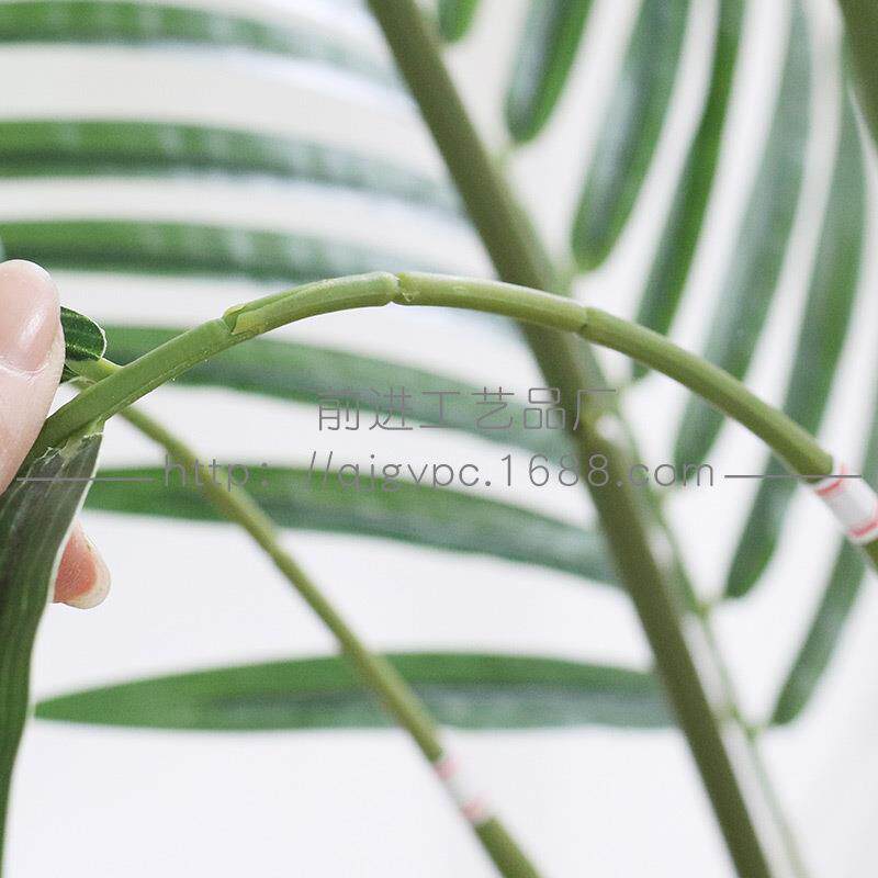 贵妃葵现货物c绿植尾葵假树盆栽Art散ifiialpla植nFZS-9185t绿植