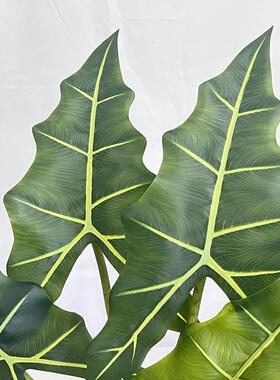 仿真绿植萨利安芋栽境室内橱盆窗装饰造景仿真海海芋跨仿112221生