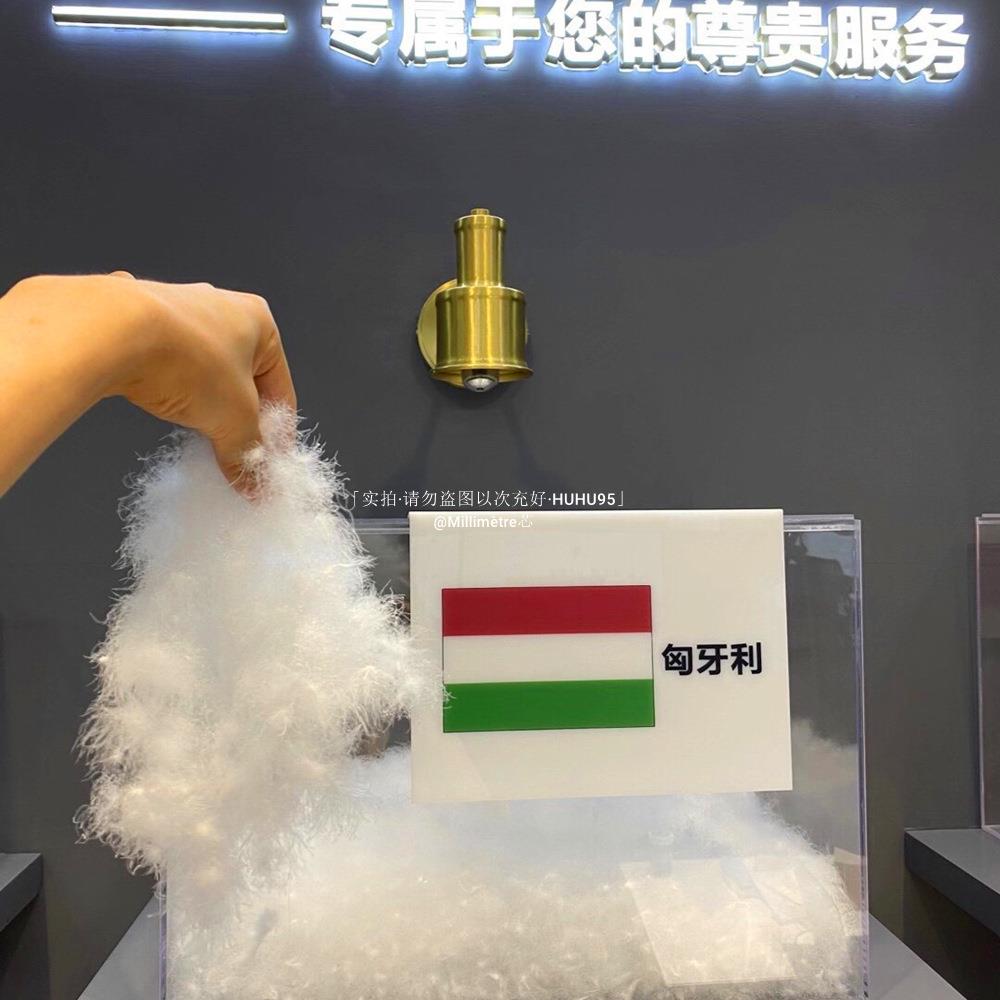 HU0顶奢进口鹅绒高鹅绒被！16支进口匈牙利95白鹅地暖被冬被端羽