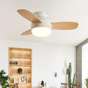 儿灯童房风扇网红室吸顶PL-C211小吊扇灯家用顶风扇卧静音彩色吊