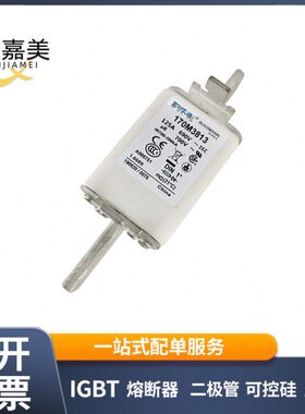 170M3813 170M3813D 快速熔断器  电子元器件 型号齐全 量大价优