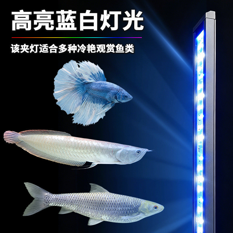 全光谱蓝白光水族LED鱼缸夹灯 IP67防水超薄冷艳观赏鱼专用照明灯