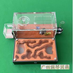 M款工坊生态可扩展养殖生态箱蚂蚁宠物平面蚁巢家园双空气水塔