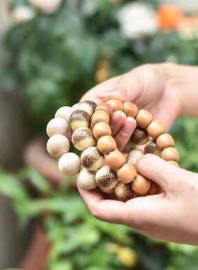 竹子手串 清新脱俗玉竹手饰 知性禅意 H文玩手串小众 男女同款手