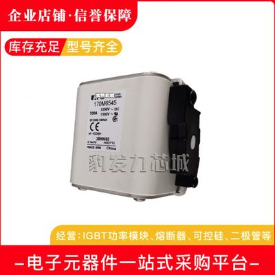 170M6538 170M6539 170M6540 170M6541 170M6542 170M6543熔断器